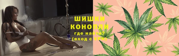 дурь Алзамай