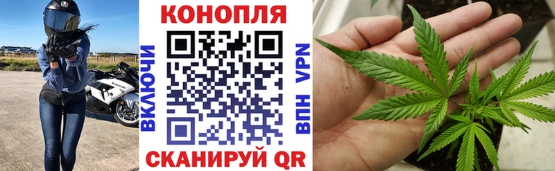 хочу Жуковский Бошки марихуана гибрид